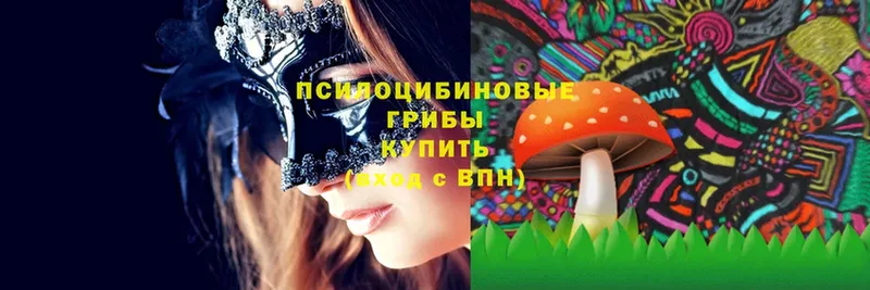 Псилоцибиновые грибы Magic Shrooms  Родники 